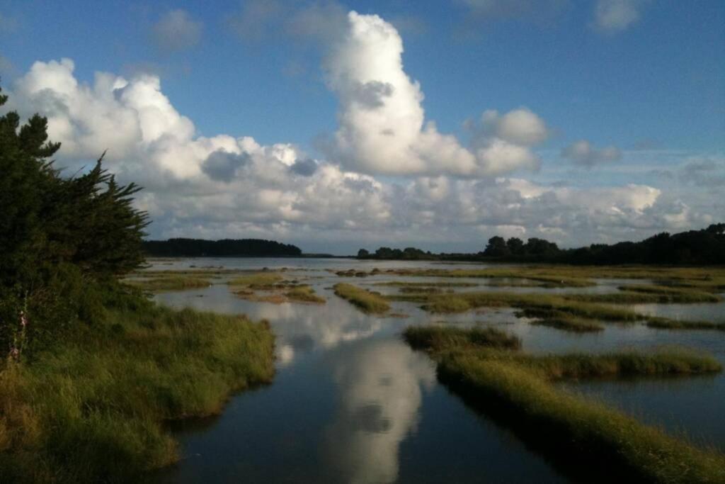 Maison Avec Jardin Clos. Animaux Acceptes - Wifi - Proche Plages De La Trinite Sur Mer Et Carnac Luaran gambar